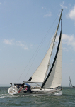 060513 ARDEA IMG_6572