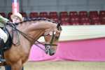 SBM_03546