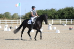 SBM_020201