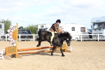 SBM_12133
