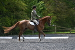 WJ5_9966