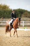 SBM_003338