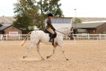 SBM_18221