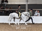 BPP_0289