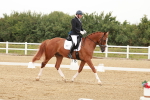 SBM_009336