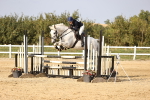 SBM_03875