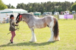 SBM_08879