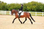 1I0A7016