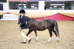 SBM_23386