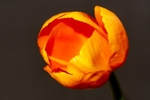 190419-untitled-1L4A0873-Edit