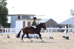 SBM_17588