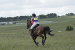 BVHT 140517  IXC -233