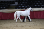 SBM_04948