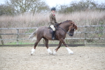 SBM_006301
