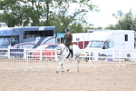 SBM_17229