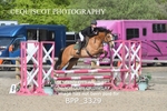 BPP_3329