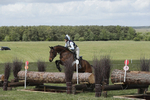BVHT 140517  IXC -213
