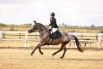SBM_005740