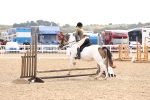 SBM_04295
