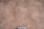 240505A-090338-04028