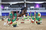 SBM_008178