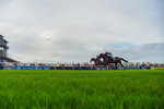 Race 7 5.05pm Napoleons Casino And Restaurant Hull Apprentice Handicap portfolio