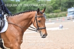 BPP_7509