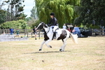 WJ6_5440
