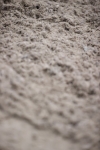 SBM_003959