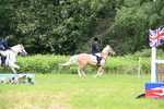 WJ6_5735