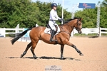 Cls 1 Snr Brit Nov & 90cm Open portfolio