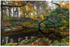 Ivy Bridge, Tollymore Forest (IMG1102)