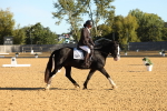 SBM_16364