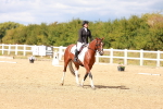 SBM_011873
