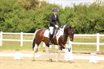 SBM_002955