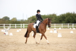 SBM_020195