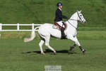 651-RATHNAGREW.GREY.TEX-Nicola.Horsley-gubbins-TrotUp+SJ portfolio
