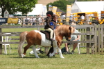 SBM_05403