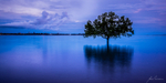 Blue reflections