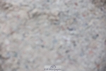 241201X-134811-01557