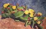 Colorado Prickly Pears