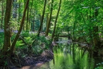 Reflections along the Lyd