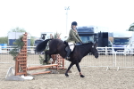 SBM_12163