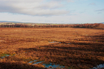 Flanders Moss 2