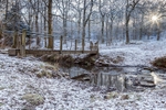 Stepping Stones
