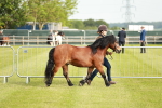SBM_00453