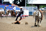 3HRodeo8-11-25_PRCASteer_04336_