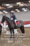 BPP_1577