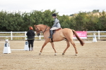 SBM_009089
