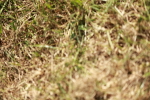 SBM_08742